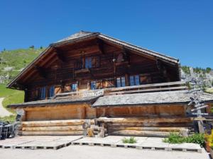 ANMD0971 (2)