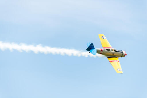 DSC2954-1