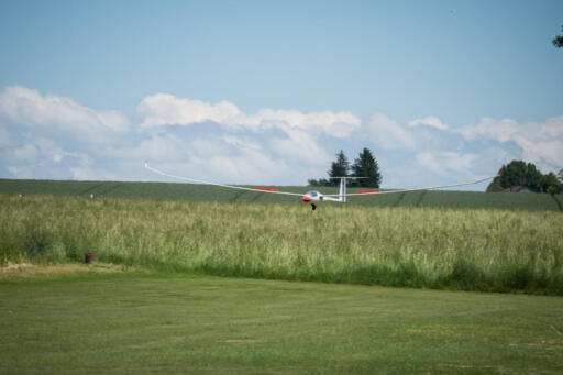 DSC_9060-1