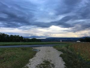 IMG 0834