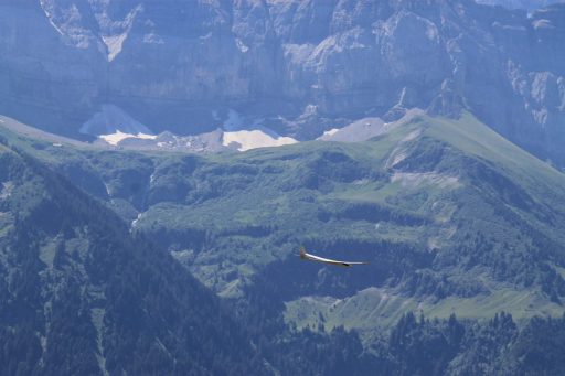 IMG_6151