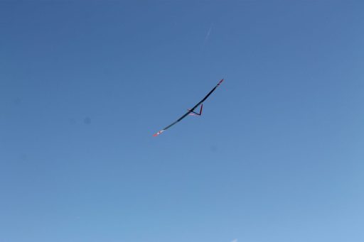 IMG_6187