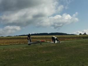 IMG 7274-1 (1)
