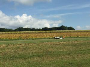 IMG 7278-1 (1)