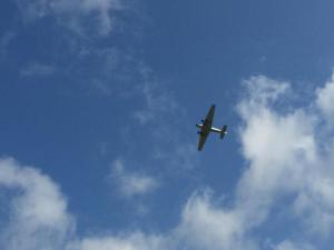 IMG 7284-1 (1)