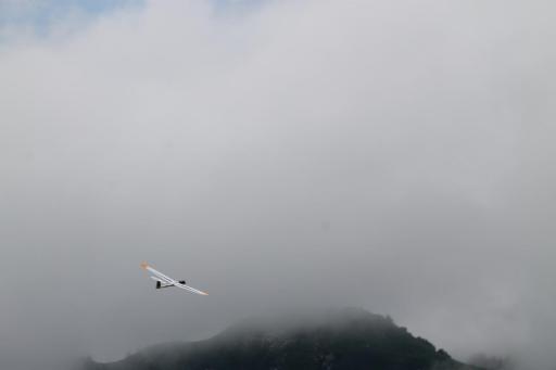 IMG 5454