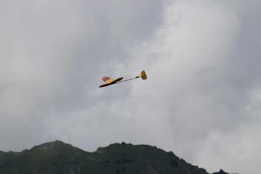 IMG 5490