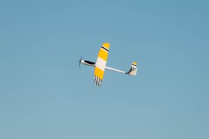  DSC6080